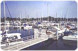 Floating Dock